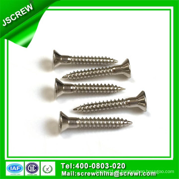 Especial personalizado aço inoxidável Flat Head Self Tapping Screw